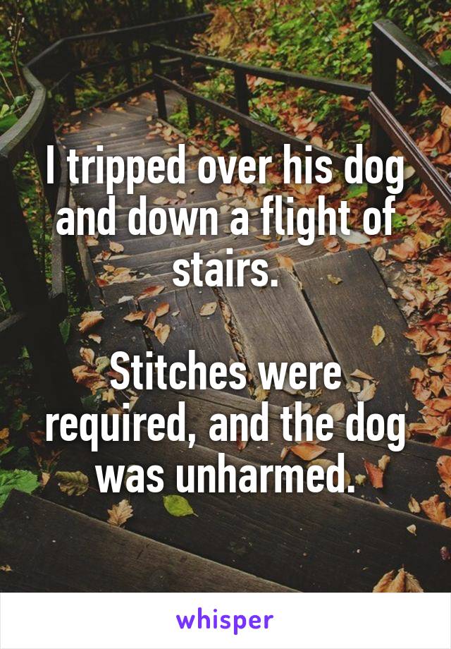 I tripped over his dog and down a flight of stairs.

Stitches were required, and the dog was unharmed.