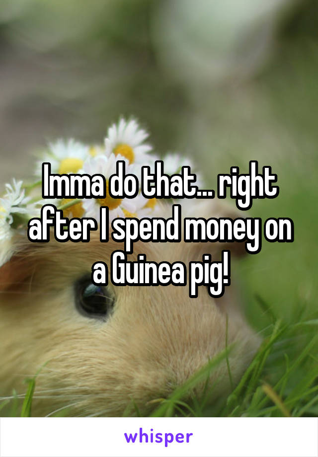 Imma do that... right after I spend money on a Guinea pig!