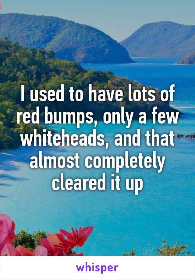 I used to have lots of red bumps, only a few whiteheads, and that almost completely cleared it up