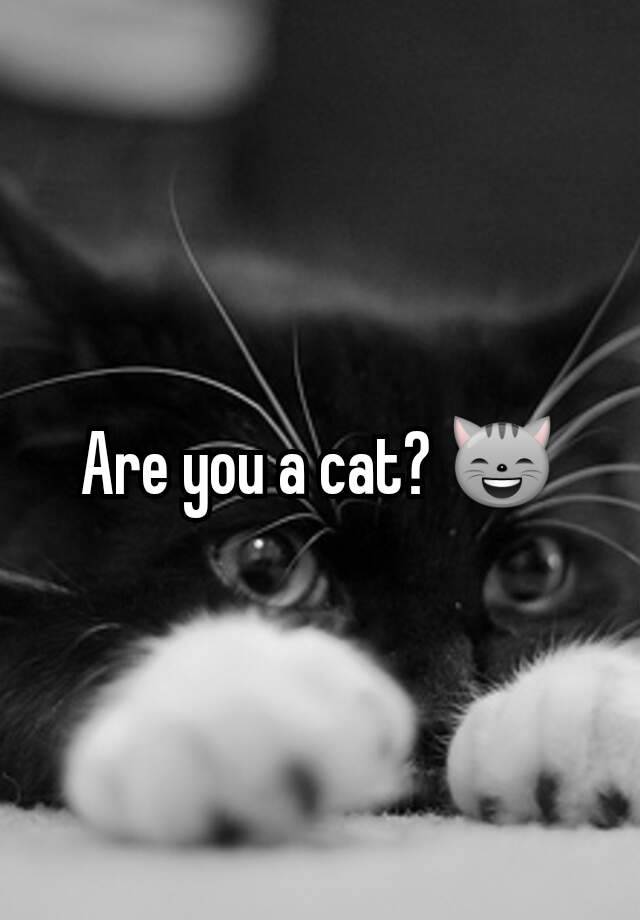 are-you-a-cat