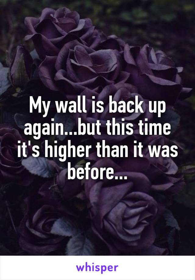 my-wall-is-back-up-again-but-this-time-it-s-higher-than-it-was-before