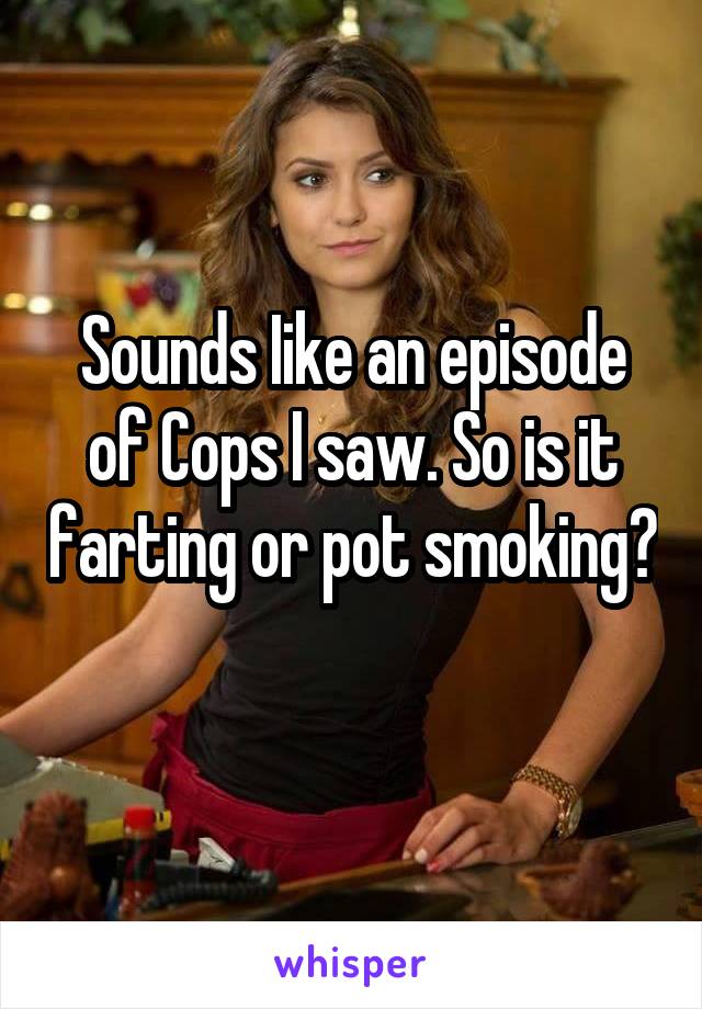 Sounds Iike an episode of Cops I saw. So is it farting or pot smoking? 
