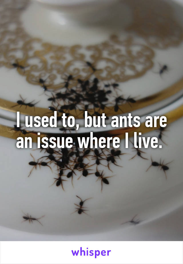 I used to, but ants are an issue where I live. 