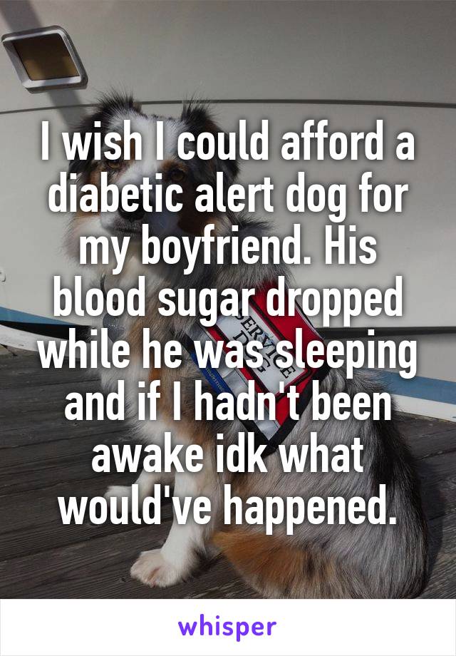 I wish I could afford a diabetic alert dog for my boyfriend. His blood sugar dropped while he was sleeping and if I hadn't been awake idk what would've happened.
