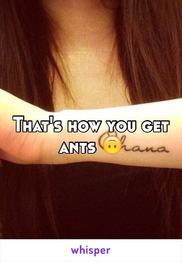 That's how you get ants 🙃