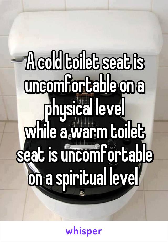 A cold toilet seat is uncomfortable on a physical level
while a warm toilet seat is uncomfortable on a spiritual level 