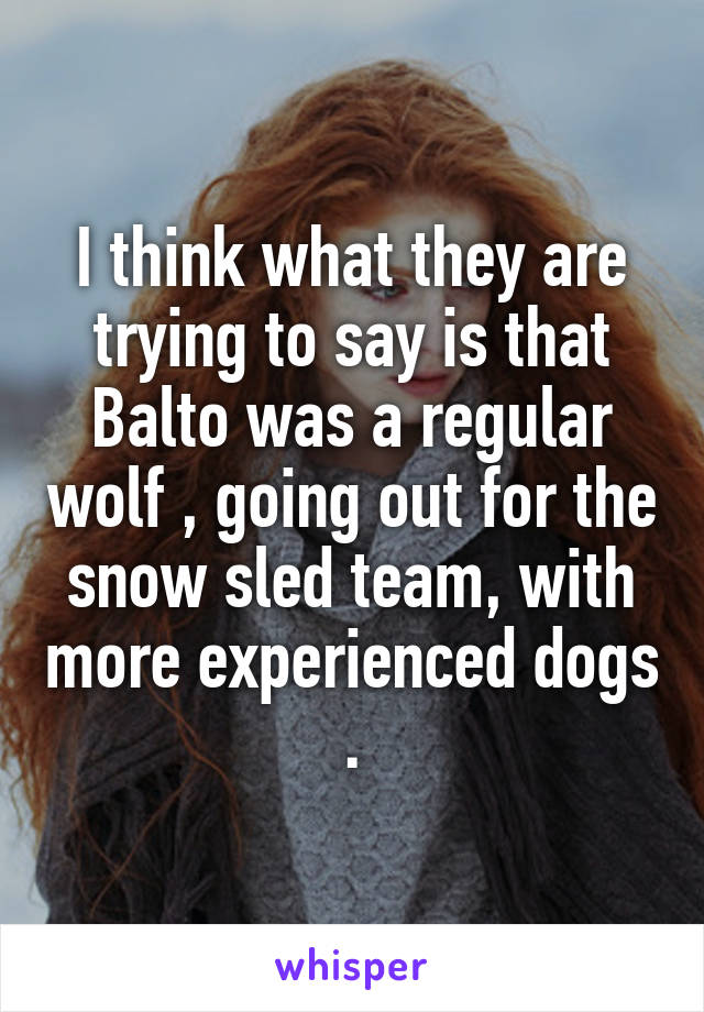 I think what they are trying to say is that Balto was a regular wolf , going out for the snow sled team, with more experienced dogs .