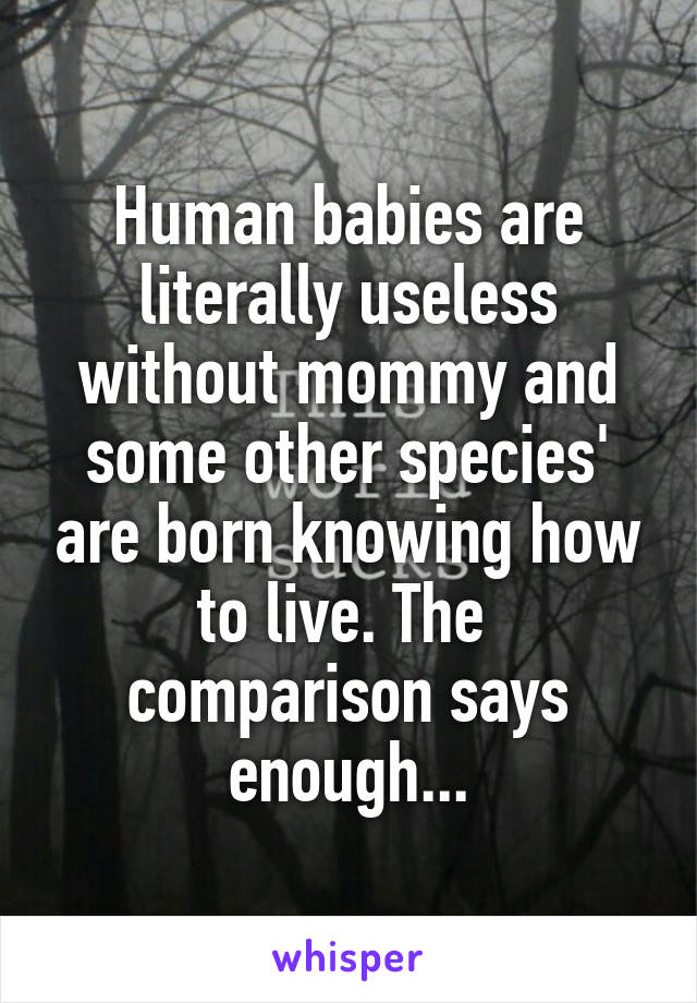 Human babies are literally useless without mommy and some other species' are born knowing how to live. The  comparison says enough...