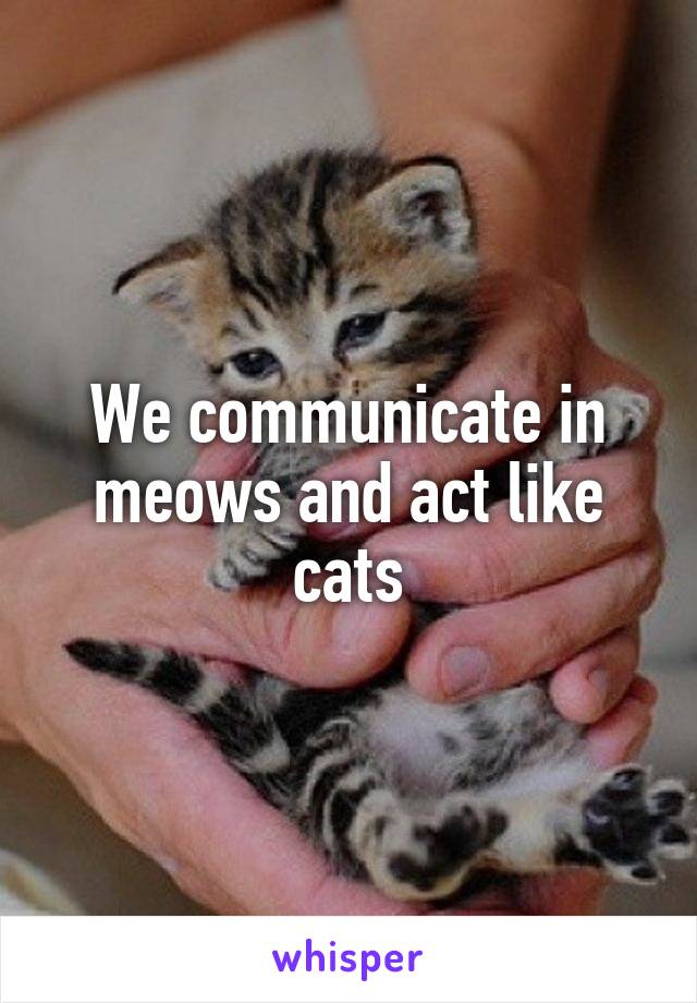 We communicate in meows and act like cats