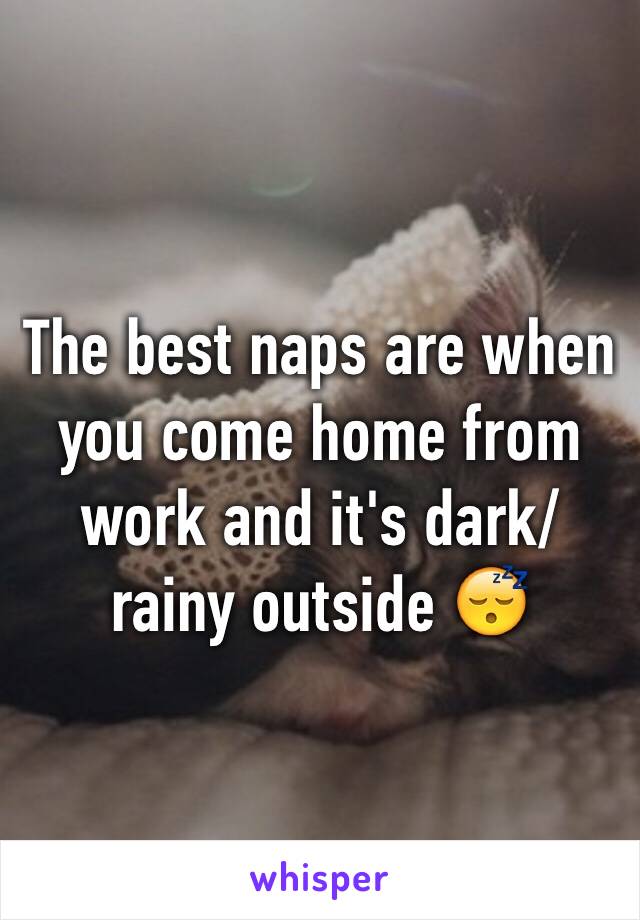The best naps are when you come home from work and it's dark/rainy outside 😴