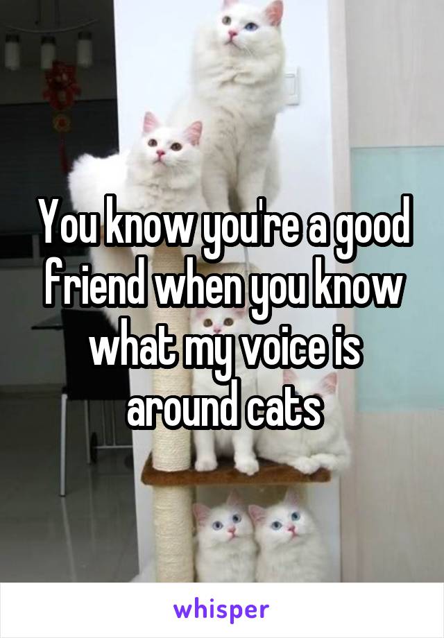 You know you're a good friend when you know what my voice is around cats