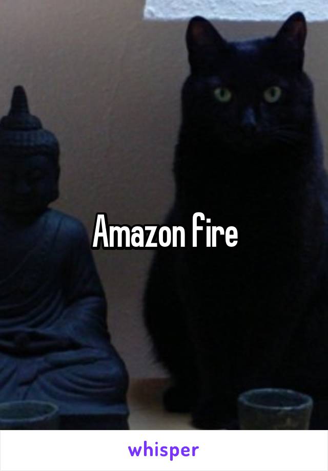 Amazon fire