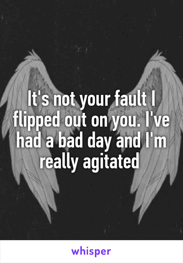 It's not your fault I flipped out on you. I've had a bad day and I'm really agitated 