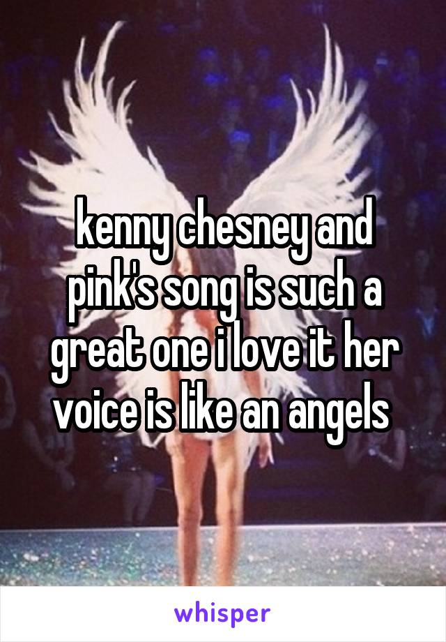 kenny chesney and pink's song is such a great one i love it her voice is like an angels 