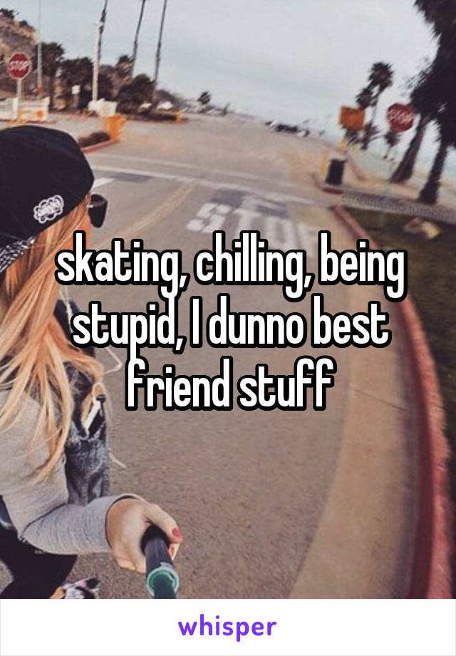 skating, chilling, being stupid, I dunno best friend stuff