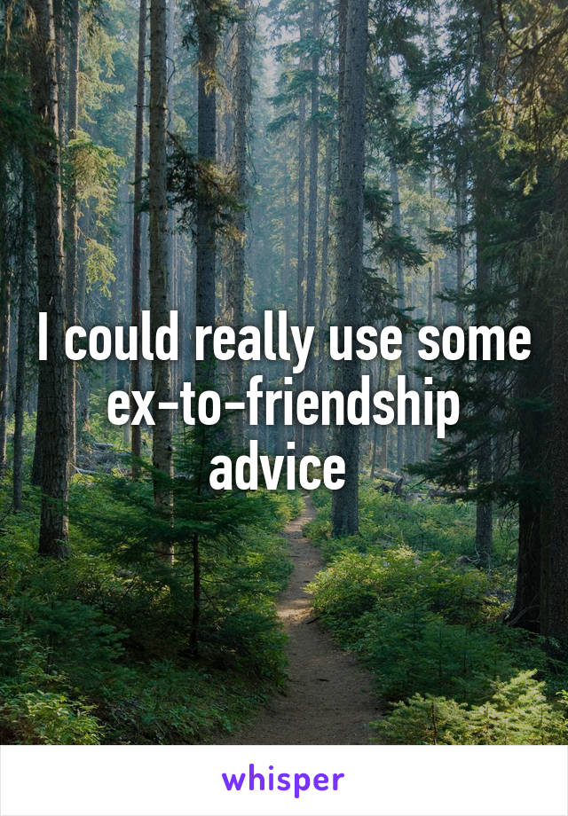 I could really use some ex-to-friendship advice 