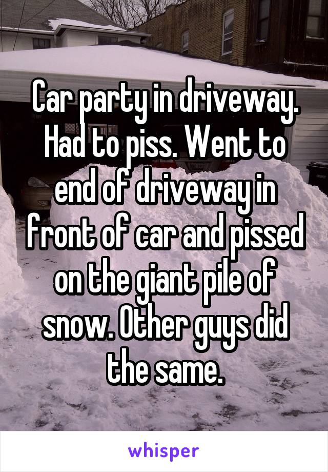 Car party in driveway. Had to piss. Went to end of driveway in front of car and pissed on the giant pile of snow. Other guys did the same.