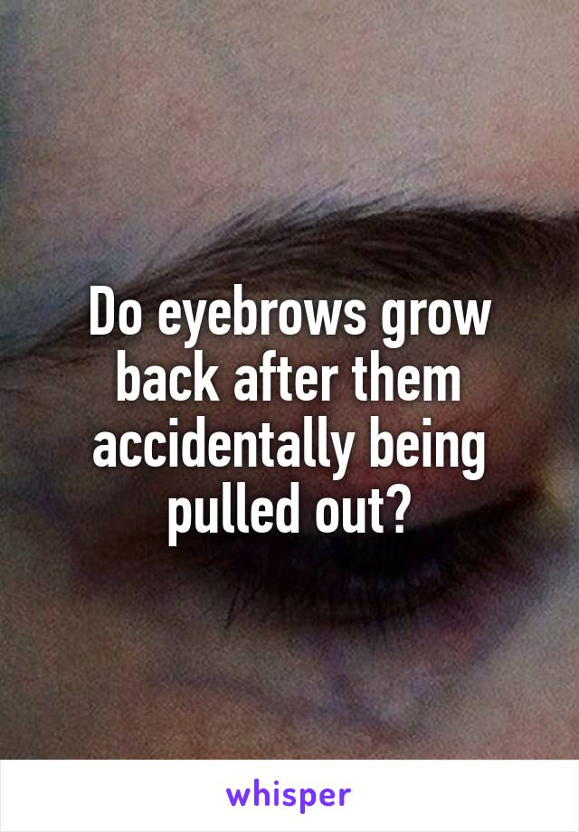 Do eyebrows grow back after them accidentally being pulled out?
