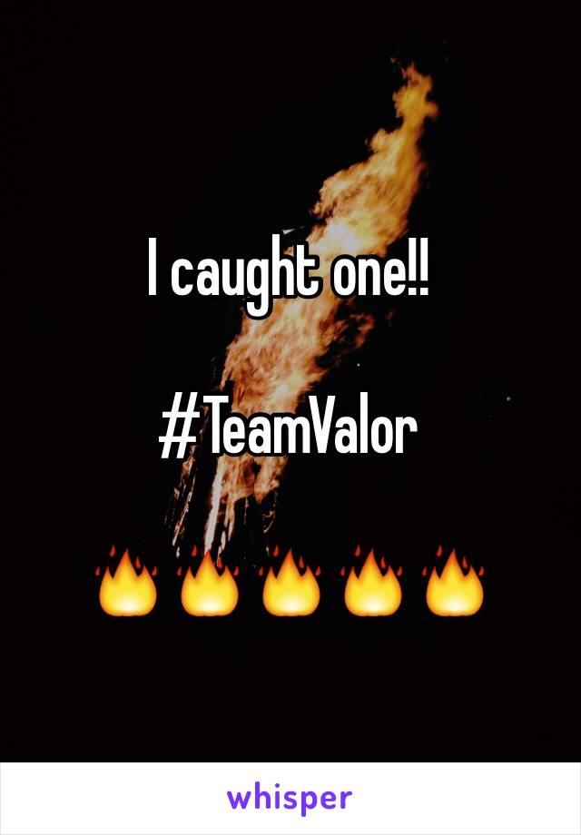 I caught one!!

#TeamValor

🔥🔥🔥🔥🔥