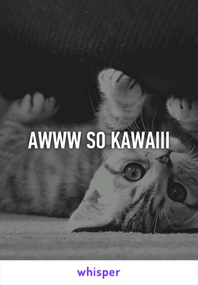 AWWW SO KAWAIII