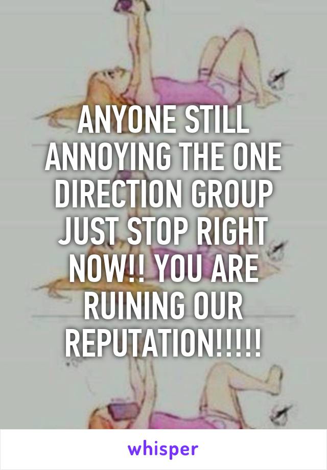 ANYONE STILL ANNOYING THE ONE DIRECTION GROUP JUST STOP RIGHT NOW!! YOU ARE RUINING OUR REPUTATION!!!!!