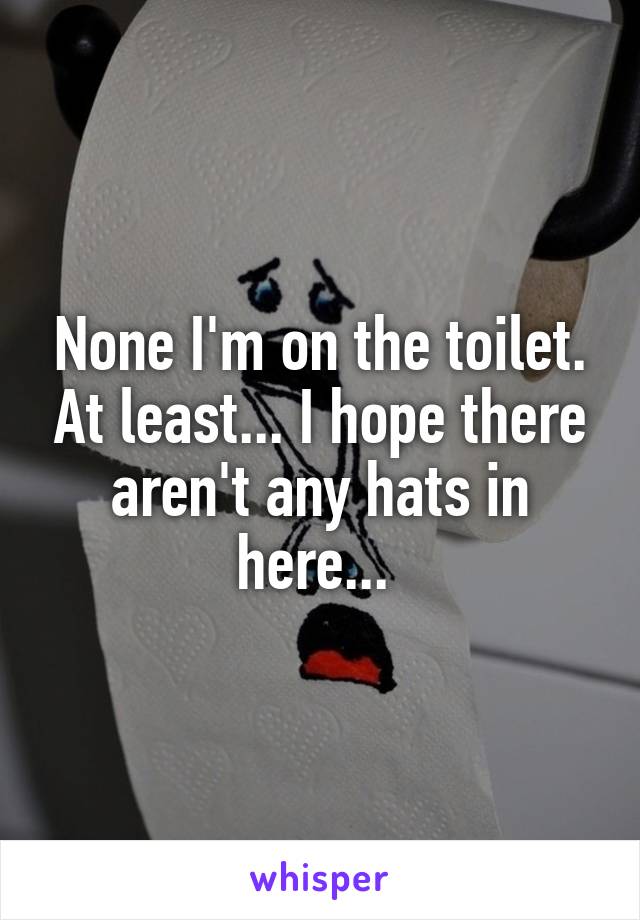 None I'm on the toilet. At least... I hope there aren't any hats in here... 