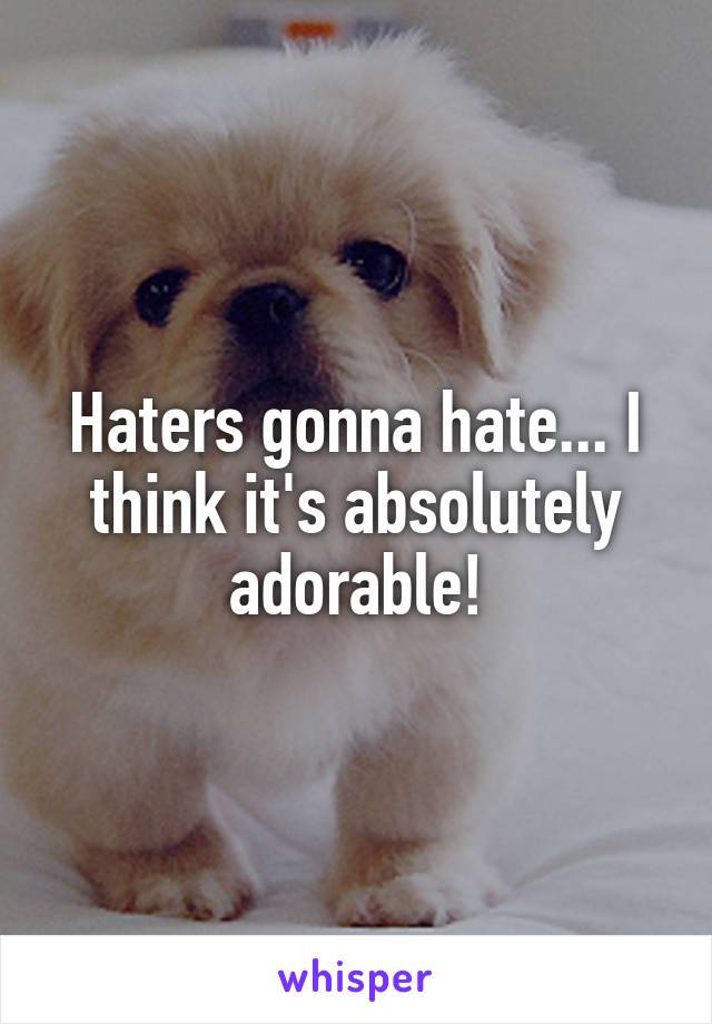 Haters gonna hate... I think it's absolutely adorable!