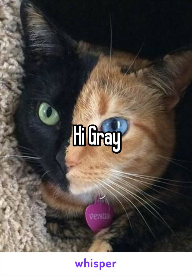 Hi Gray