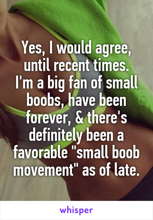 Yes, I would agree, until recent times.
I'm a big fan of small boobs, have been forever, & there's definitely been a favorable "small boob movement" as of late.