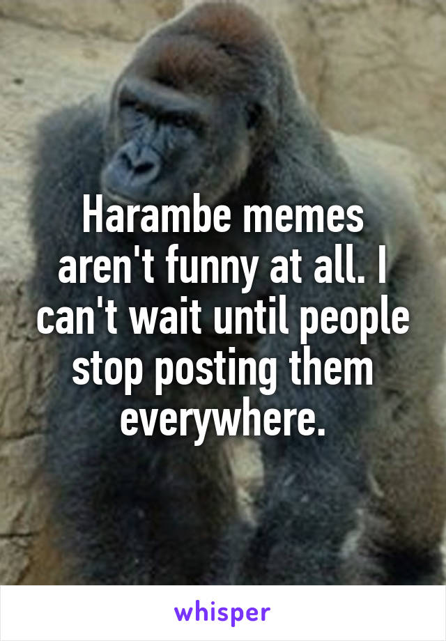 Harambe memes aren't funny at all. I can't wait until people stop posting them everywhere.