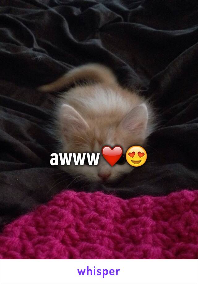 awww❤️😍