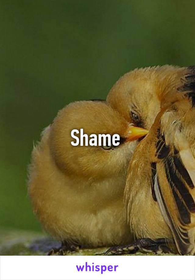 Shame 