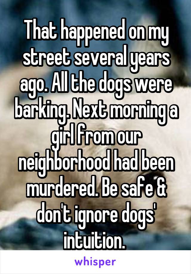 That happened on my street several years ago. All the dogs were barking. Next morning a girl from our neighborhood had been murdered. Be safe & don't ignore dogs' intuition. 