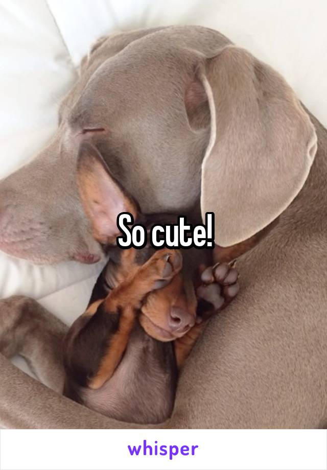 So cute!