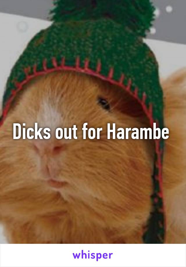 Dicks out for Harambe 