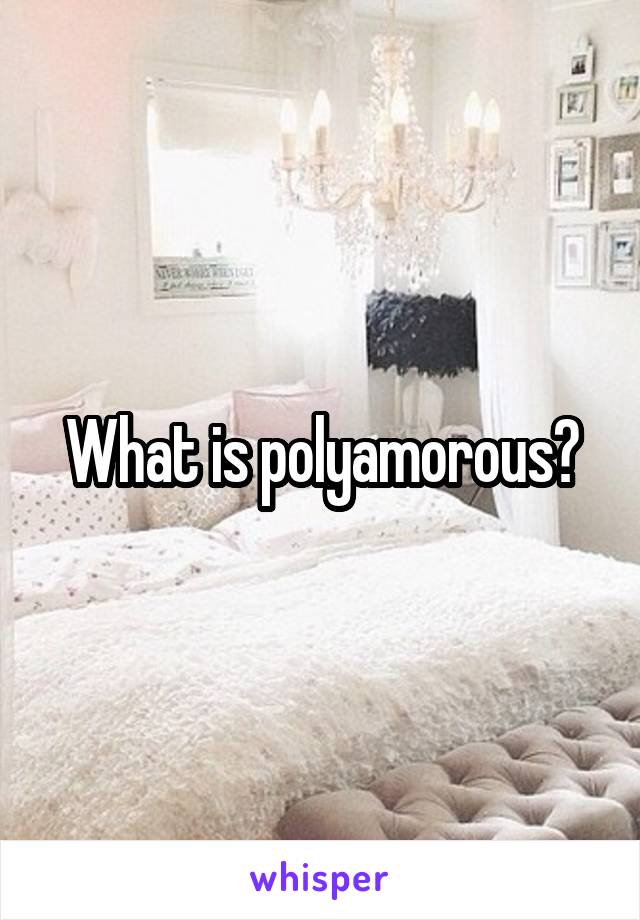 What is polyamorous?