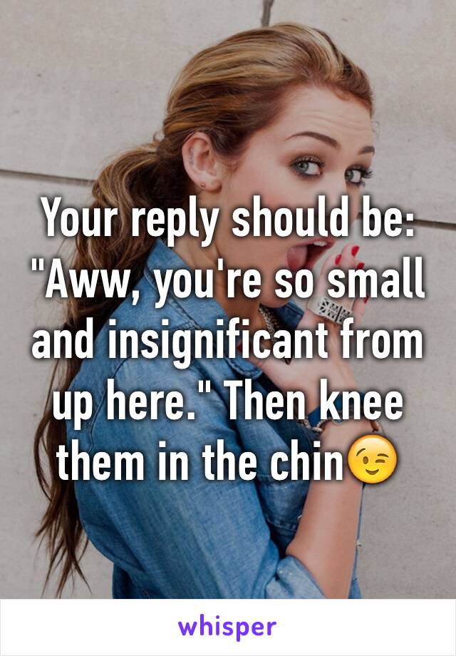 Your reply should be: "Aww, you're so small and insignificant from up here." Then knee them in the chin😉