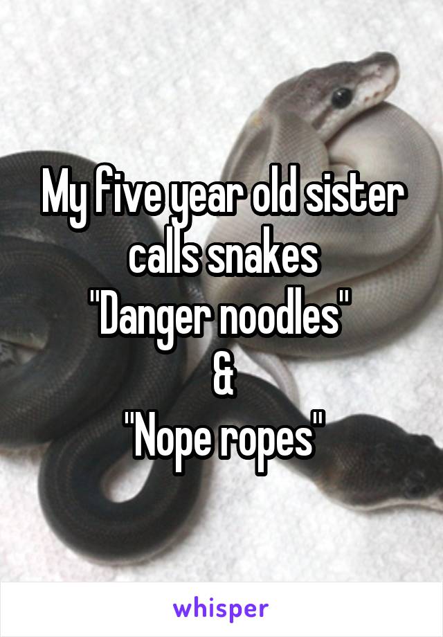 My five year old sister calls snakes
"Danger noodles" 
&
"Nope ropes"