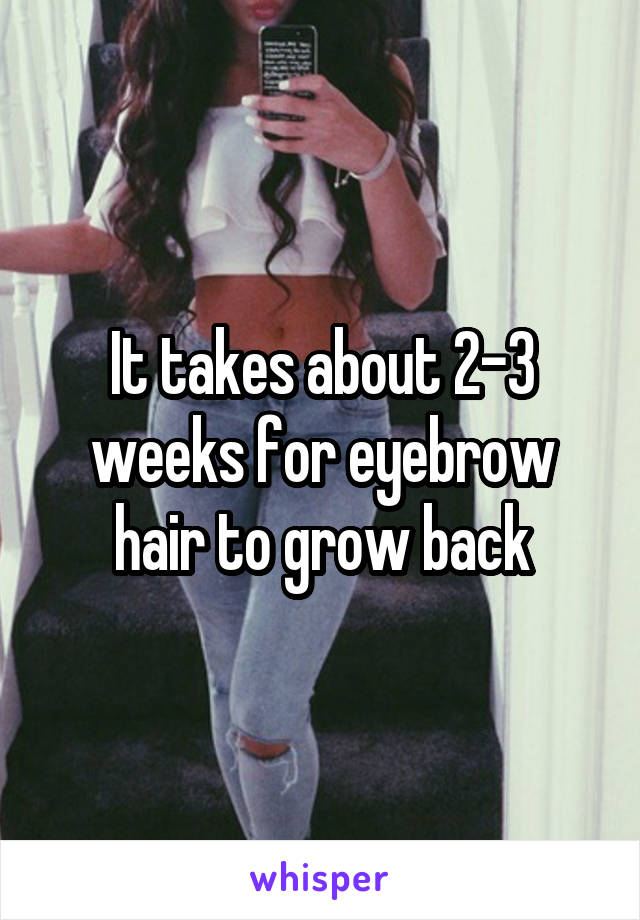 It takes about 2-3 weeks for eyebrow hair to grow back