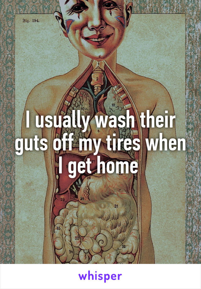 I usually wash their guts off my tires when I get home 