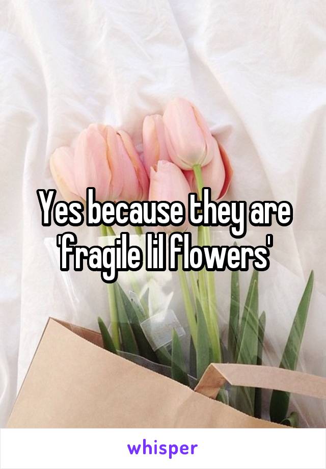 Yes because they are 'fragile lil flowers'