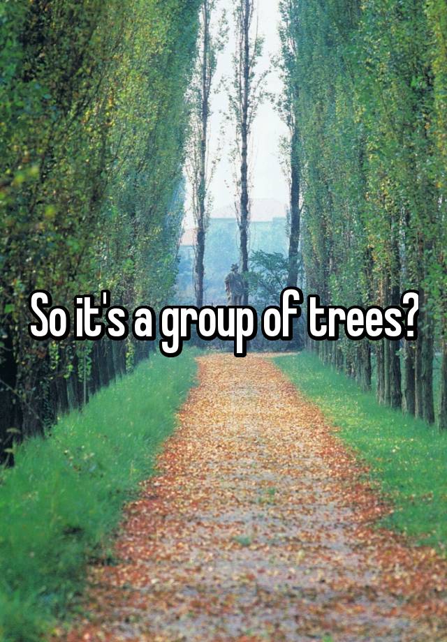 so-it-s-a-group-of-trees