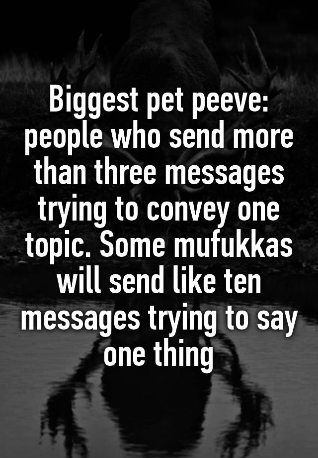 biggest-pet-peeve-people-who-send-more-than-three-messages-trying-to