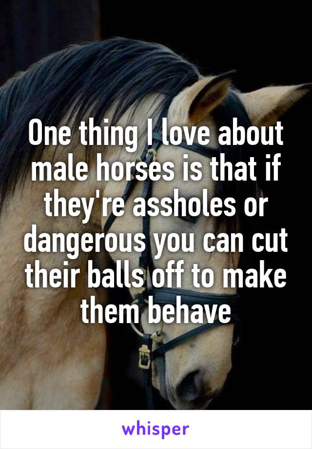 One thing I love about male horses is that if they're assholes or dangerous you can cut their balls off to make them behave