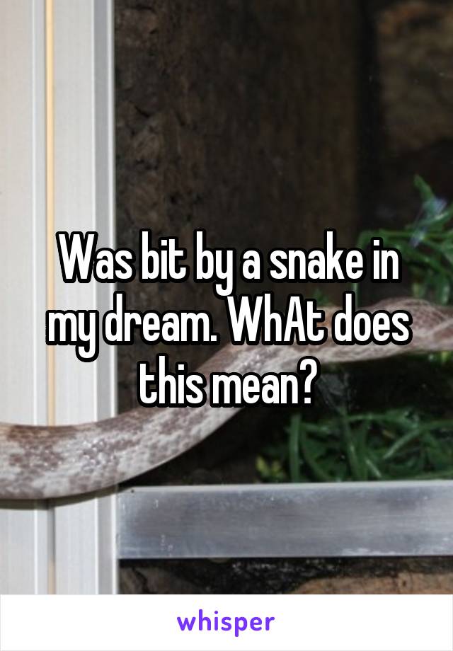 Was bit by a snake in my dream. WhAt does this mean?