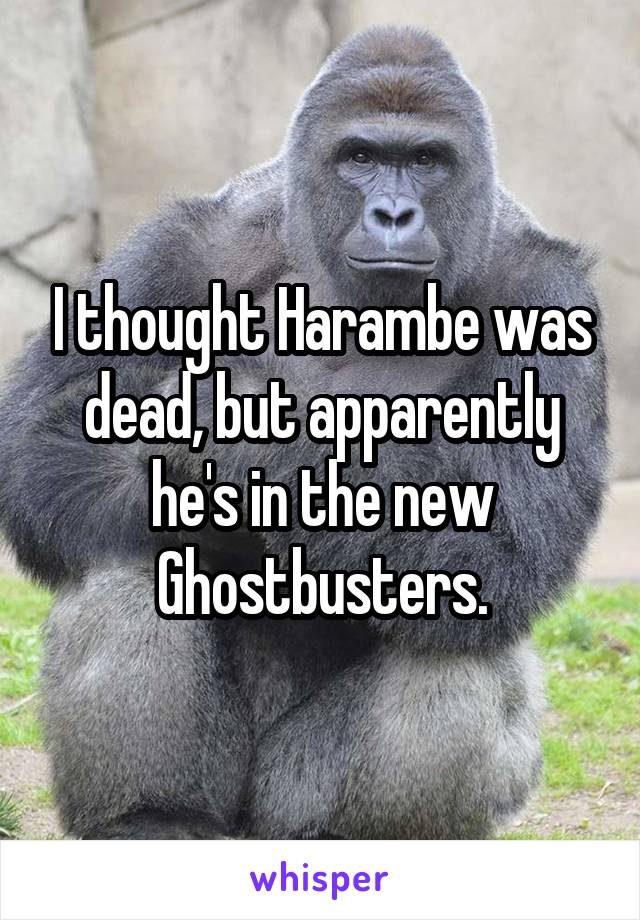 I thought Harambe was dead, but apparently he's in the new Ghostbusters.