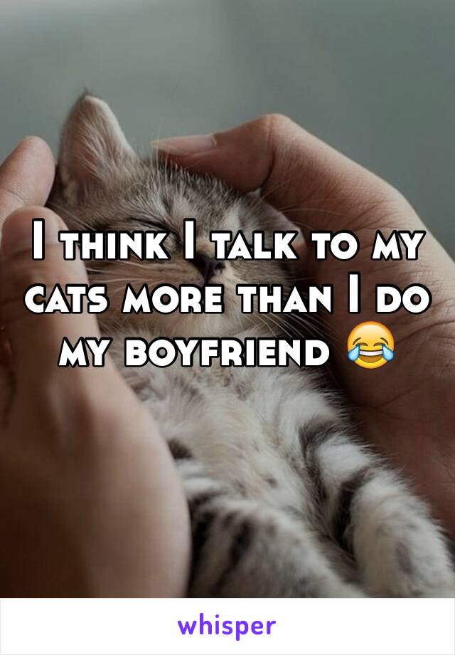 I think I talk to my cats more than I do my boyfriend 😂