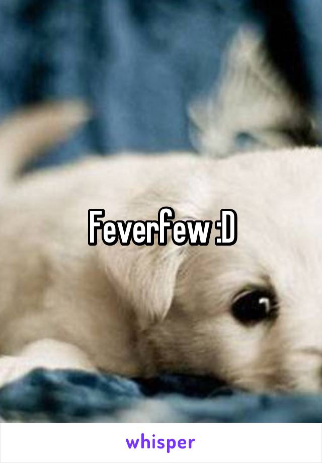 Feverfew :D