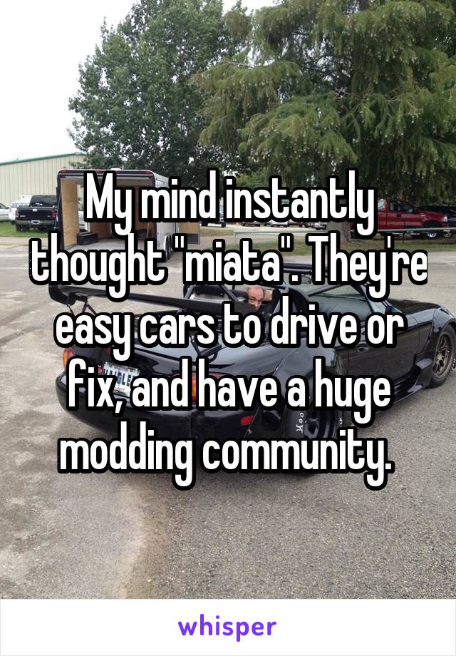 My mind instantly thought "miata". They're easy cars to drive or fix, and have a huge modding community. 