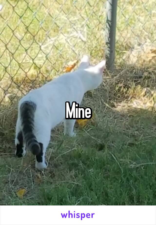 Mine